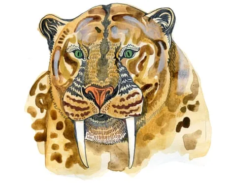 Children's Quiz: Unpacking Interesting Queries Regarding Nature
