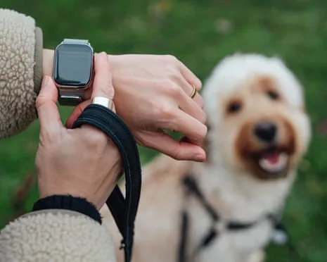 The Reality About Wearable Tech? Daily Existence Feels Fuller Lacking a Nagging Device on Your Wrist